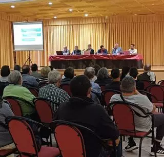 Nules impulsa la regularización de las viviendas de la marjaleria