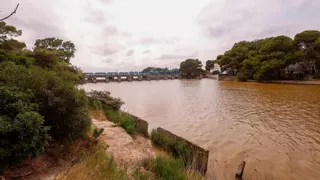 Así valoran los expertos la apertura de compuertas en l'Albufera frente a las críticas vecinales