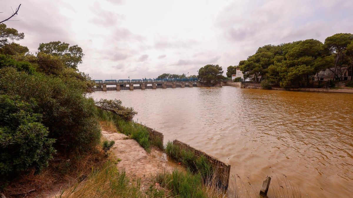Una de las golas de l'Albufera en la jornada de ayer.