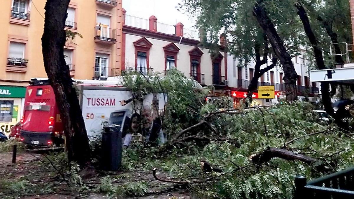 Borrasca Kristin: cortes de tráfico y carreteras cerradas por viento y lluvias.