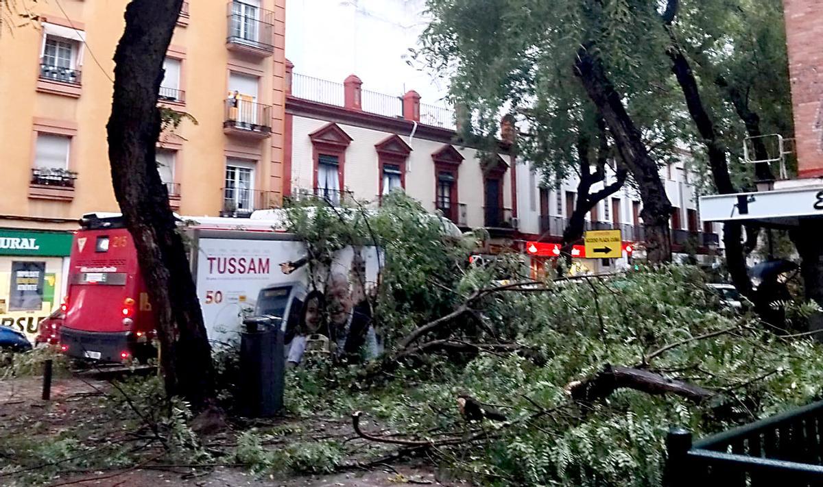 Calle San Jacinto.