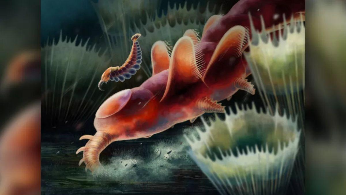 Descubren misteriosas formas de vida oceánicas anteriores a los dinosaurios - Levante-EMV Descubren misteriosas formas de vida oceánicas anteriores a los dinosaurios - Levante-EMV