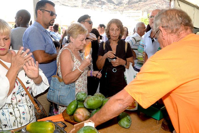 II FERIA MANGO Y AGUACATE