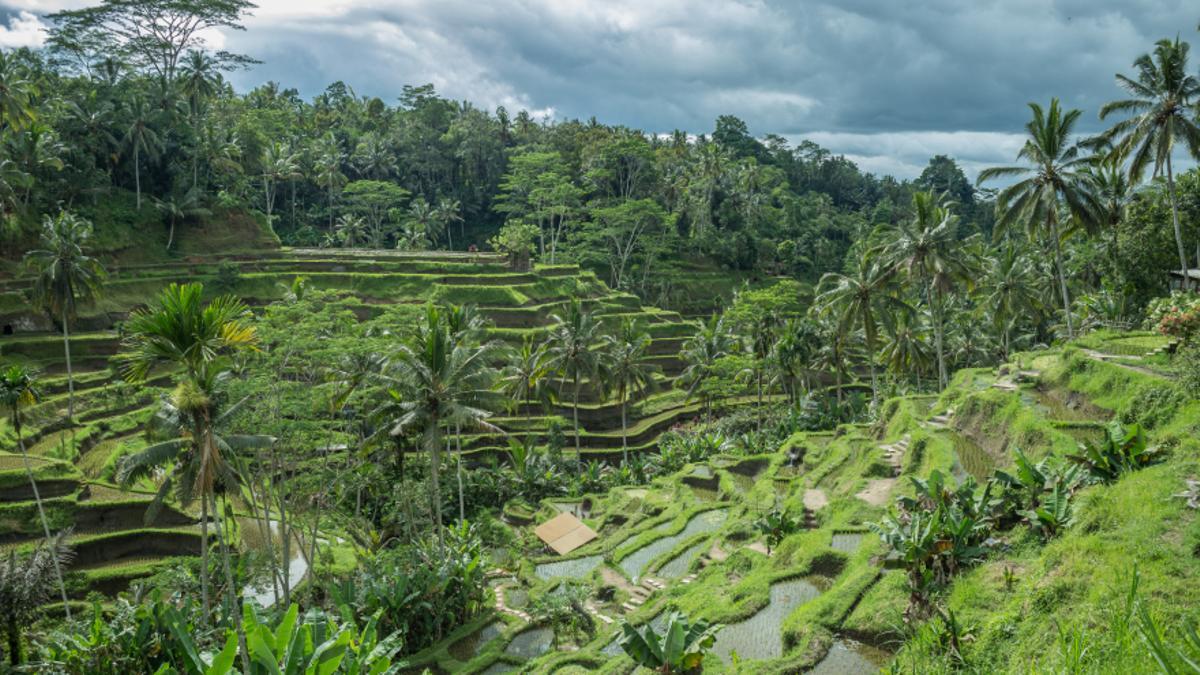 Estrellas, selvas y volcanes en la Expedición Viajar por Indonesia.