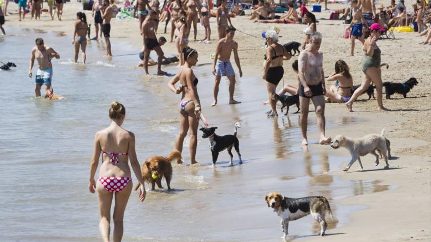Las mejores playas para perros en la C. Valenciana