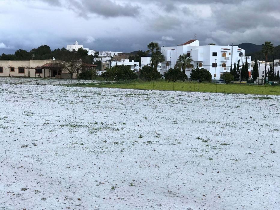 La zona norte de Ibiza, nevada