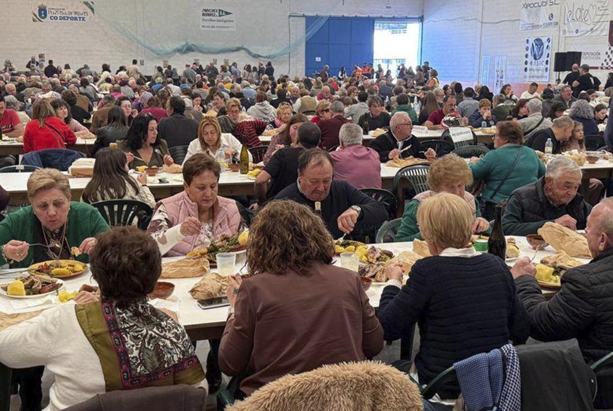 La tradicional «cacheira» triunfa  en Pazos de Borbén | C.P.