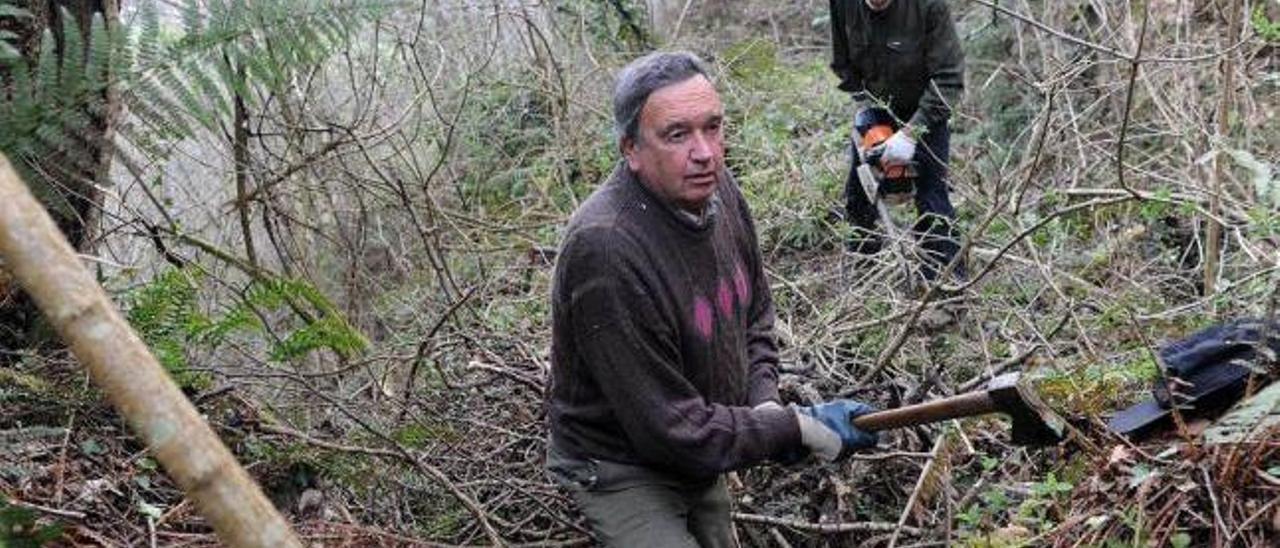 Vecinos de El Navaliegu, desbrozando los bosques del valle de Tolivia (Laviana).