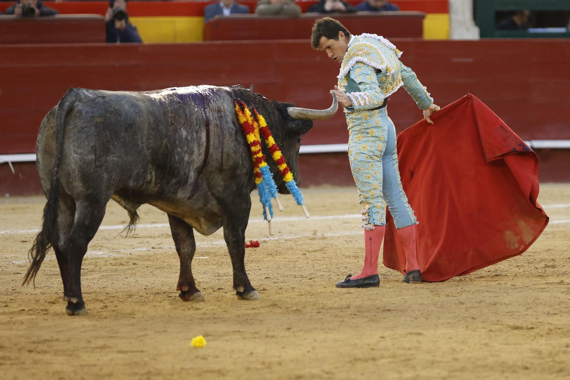 El triunfo de Daniel Luque en la Feria de Fallas