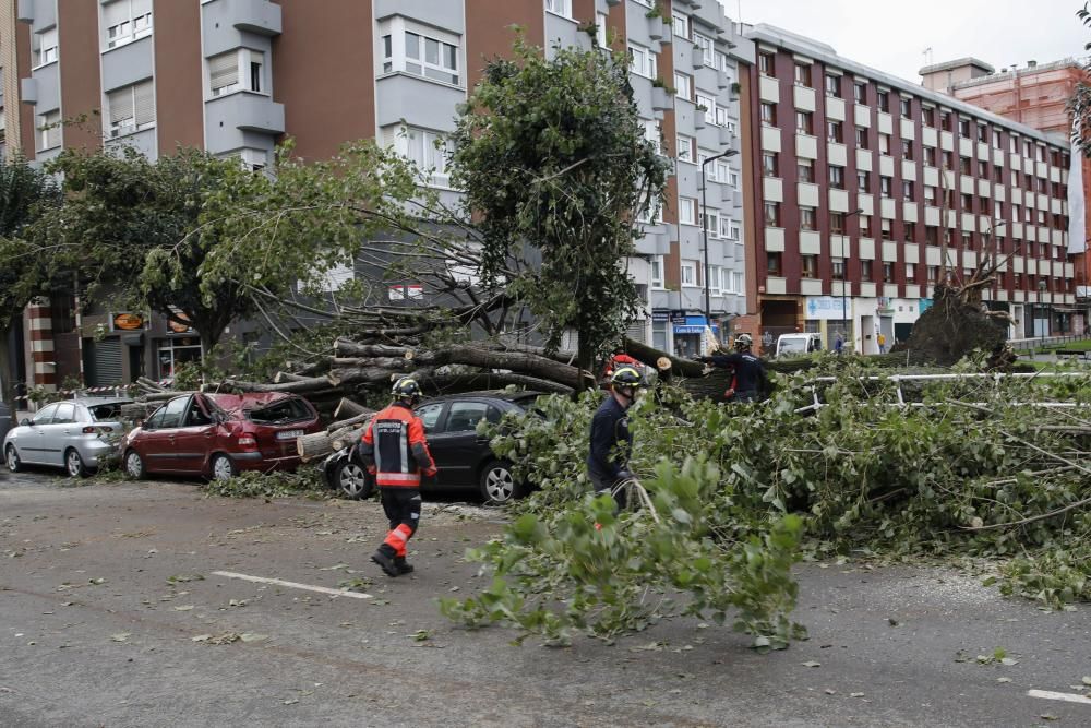 Daños por el temporal en Gijón.