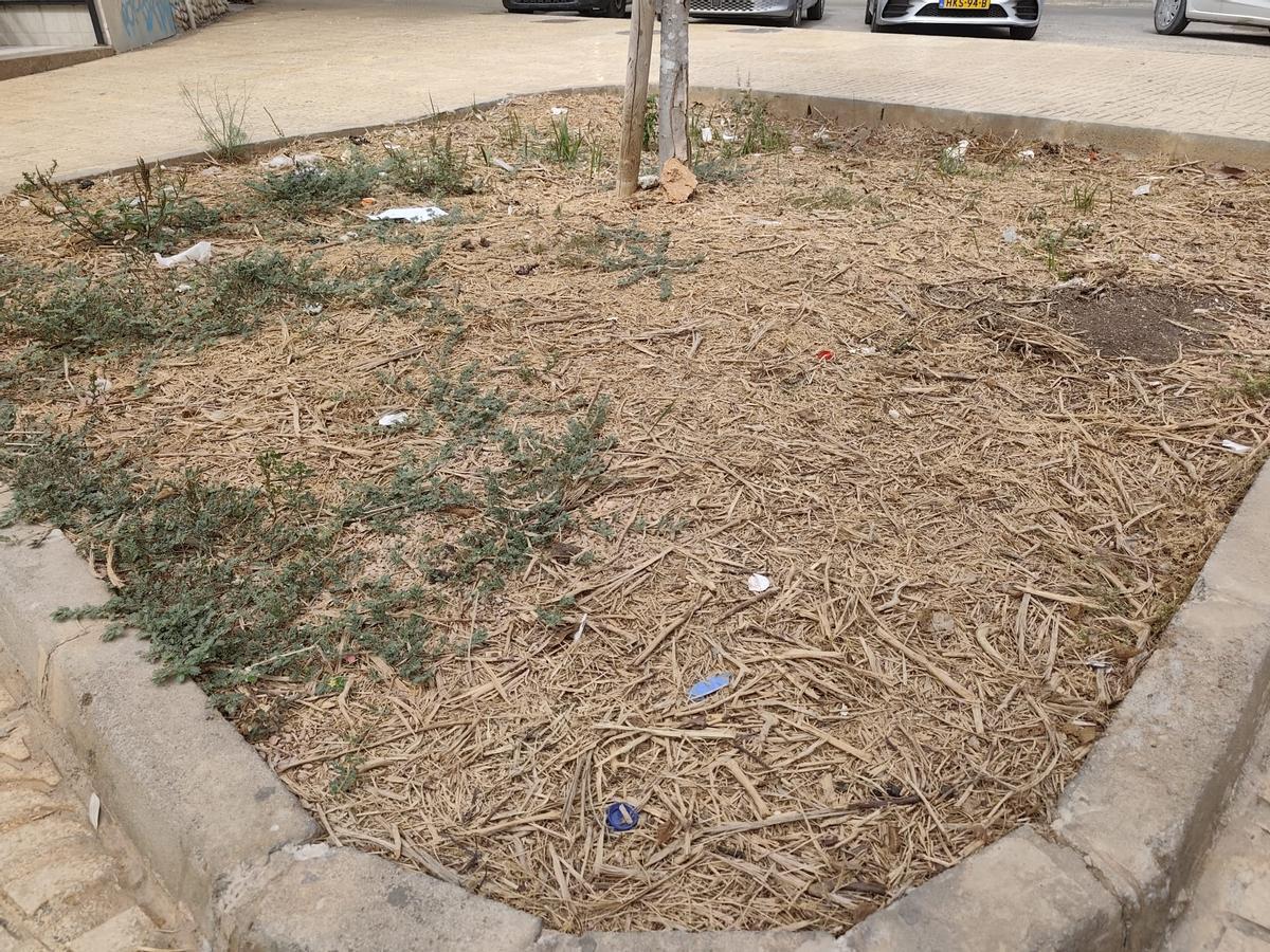 Un parterre en la calle lleno de basura