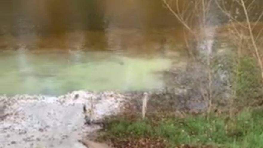 VÍDEO | Denuncian vertidos en el río Esla a su paso por Castrogonzalo, Zamora