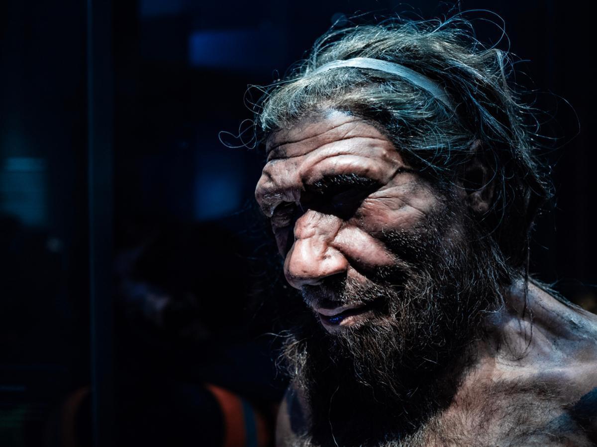 ¿Neandertals incívics al tren?