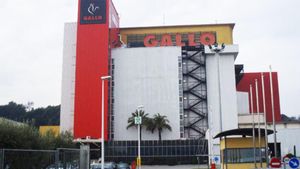 gallo2