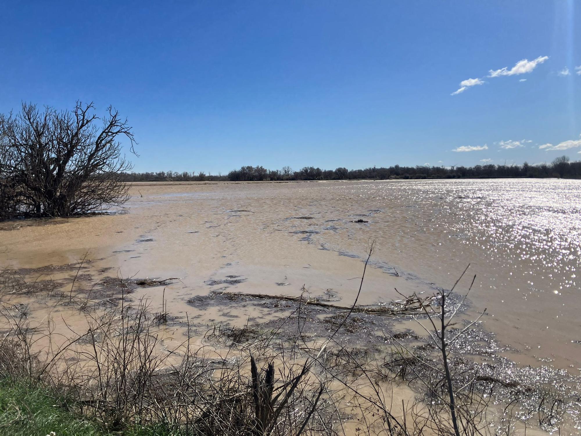 En imágenes | La crecida del Ebro se empieza a notar en Aragón