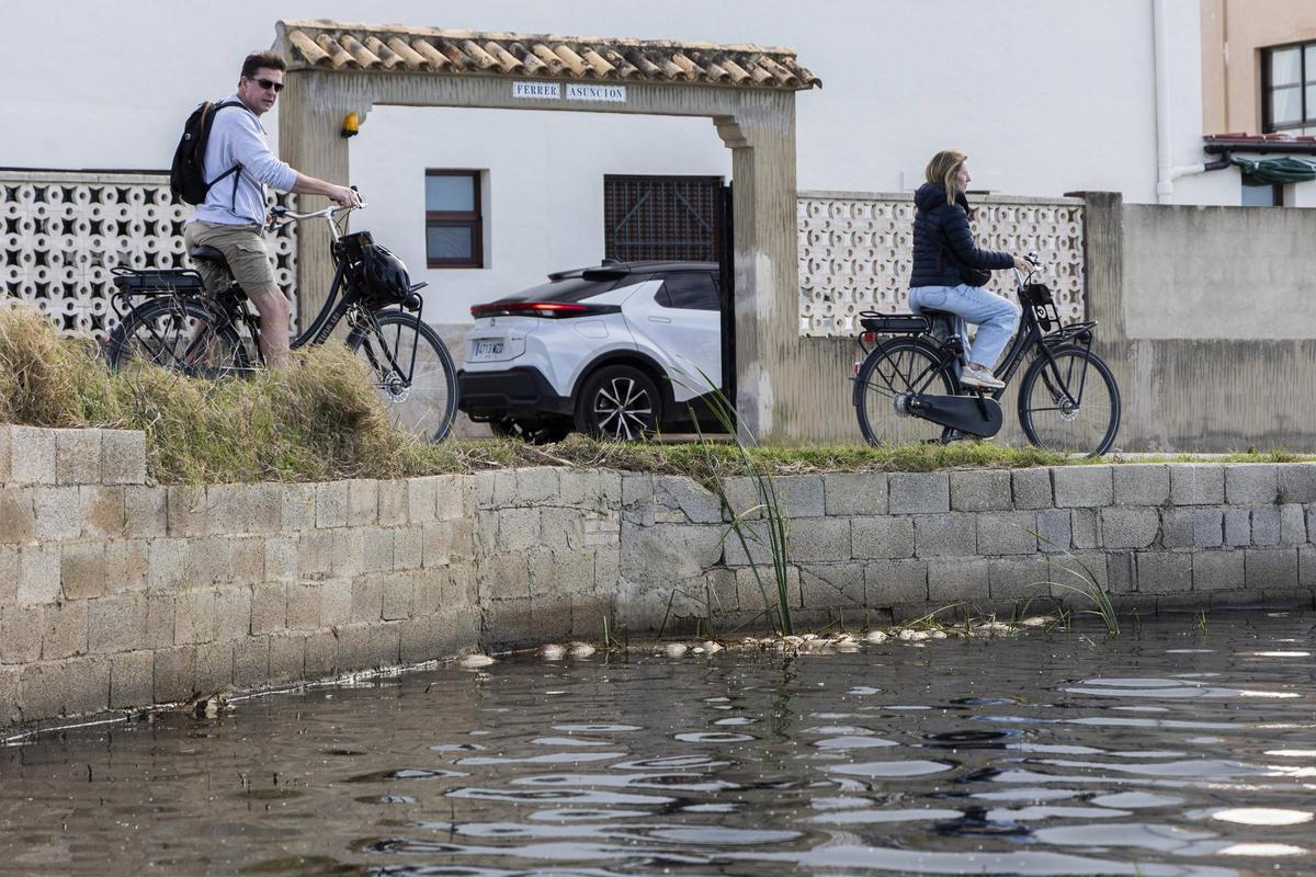 Peces y cangrejos muertos, mal olor y agua negra o marron oscura tanto en los canales del Palmar como en los campos cercanos en l'Albufera a la poblacion