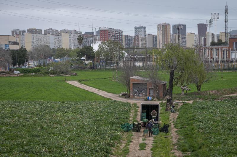 Zona agrícola de Can Trabal, con el Hospital de Bellvitge al fondo, donde incide el PDU de L'Hospitalet.