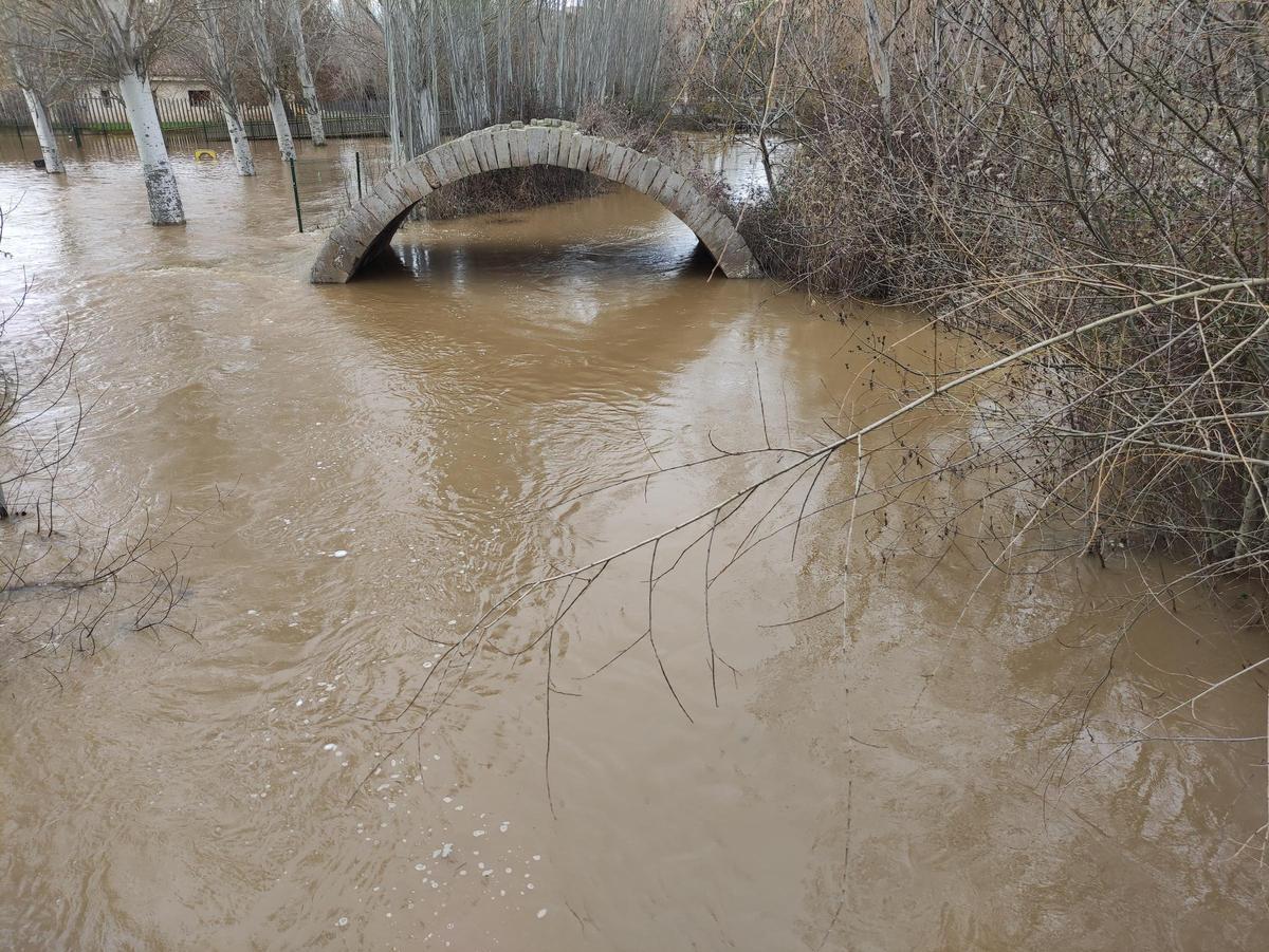 GALERÍA / El río Órbigo desbordado en Benavente, en imágenes GALERÍA / El río Órbigo desbordado en Benavente, en imágenes