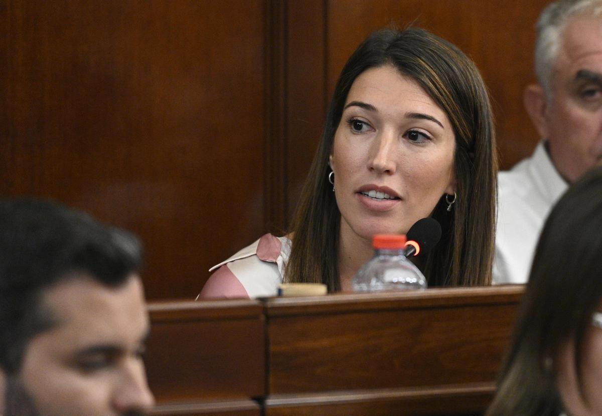 La diputada socialista María Jiménez, en un pleno.