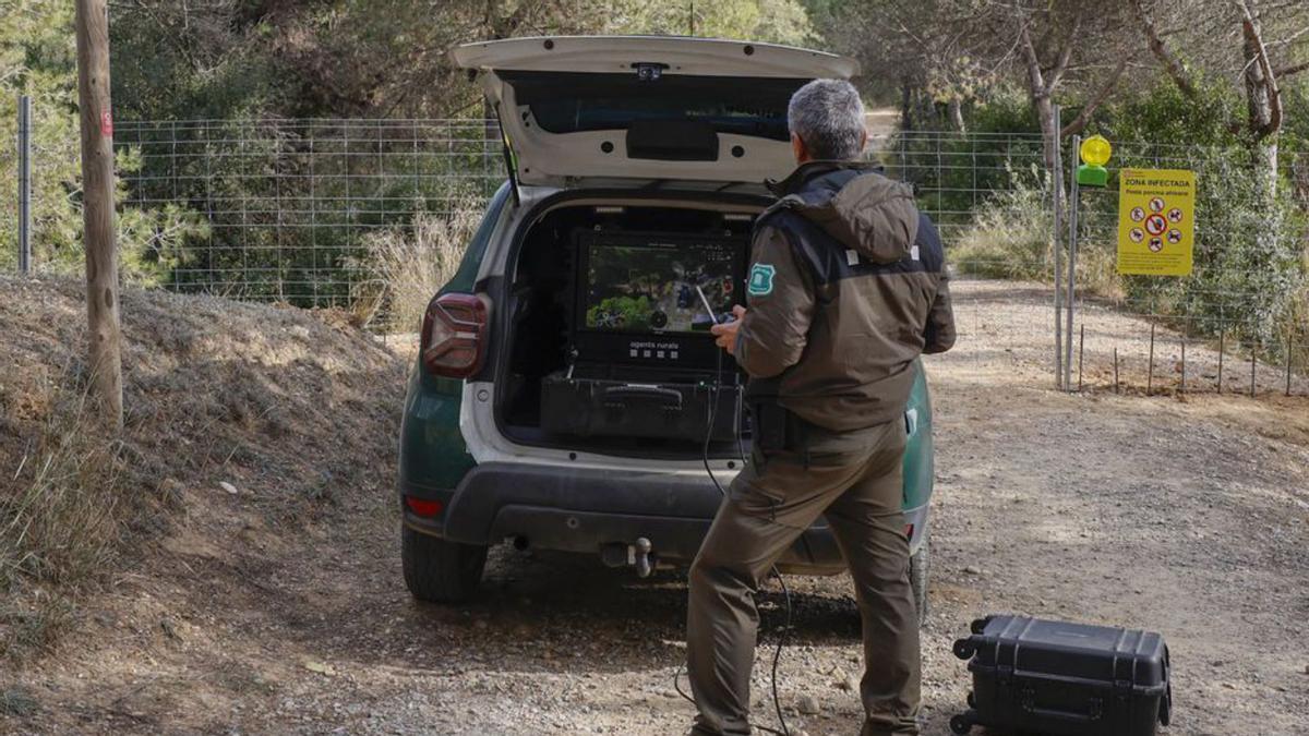 Un agent rural utilitza un dron per vigilar un camí a Collserola. | ALBERTO ESTÉVEZ / EFE
