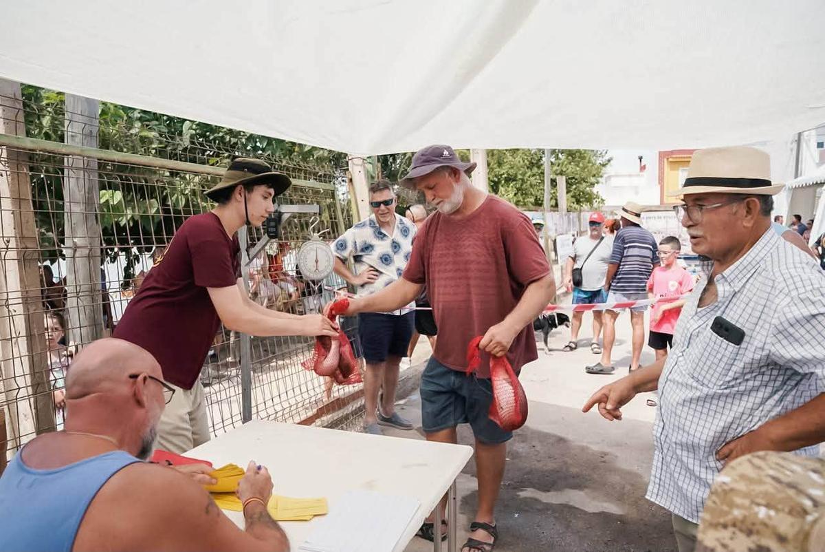 Momento de la entrega de las capturas para su peso.