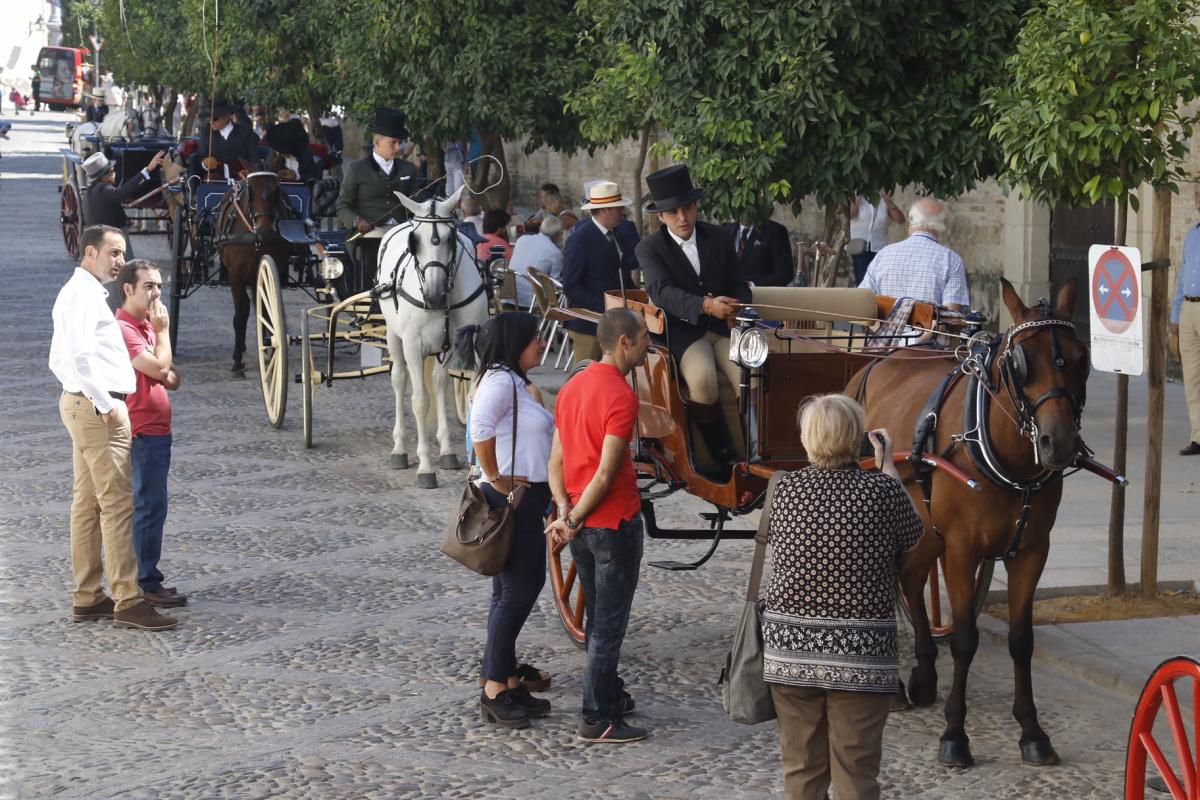 Fotogalería/ Tercera jornada de Cabalcor, concurso de enganches.