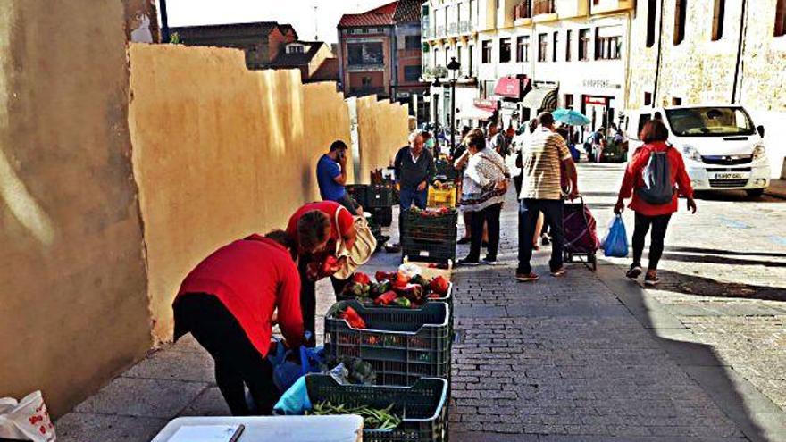 La inestabilidad del tiempo reduce la producción de pimiento que ya está en el mercado de los jueves