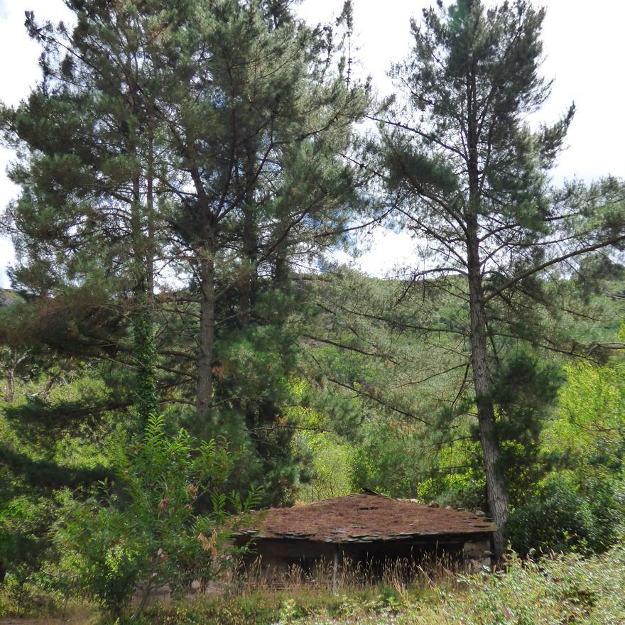 Pueblos guapos de Asturias: Riodeporcos (Ibias), al que se llega cruzando un puente