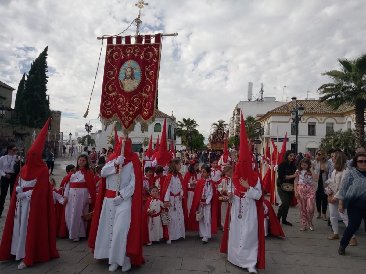 Domingo de Ramos en la provincia