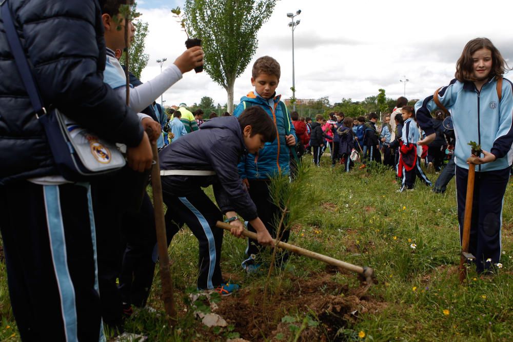 Celebración del Día Internacional de la Tierra