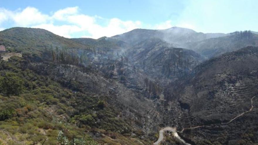 Zona afectada por el incendio del pasado sábado entre Igualero y Chipude donde ayer se volvió a reactivar el fuego. | LP / DLP