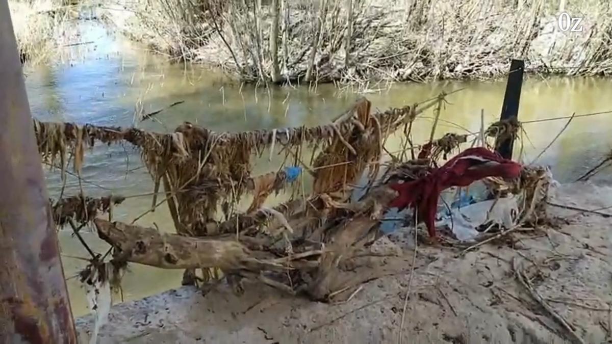 Los estragos de las riadas aún permanecen en el paseo ribereño de Zamora: troncos, maleza y plásticos