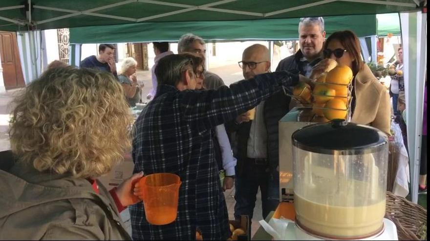 Feria del Medio Ambiente de Alaquàs