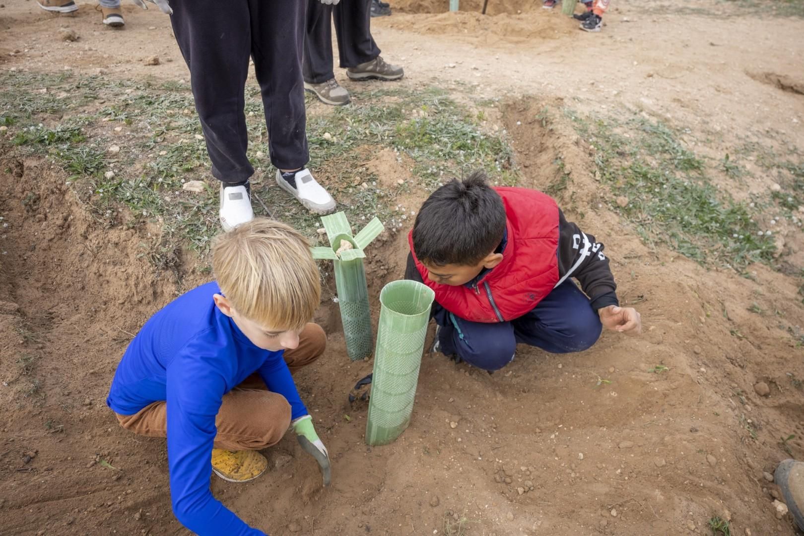 Jornada escolar plantación de especies autóctonas junto al parque natural de las lagunas de Torrevieja y La Mata