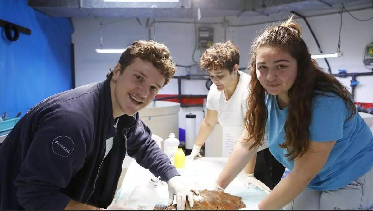 El técnico Sergí Guasch (izquierda), con dos voluntarios durante el tratamiento de una tortuga marina herida.