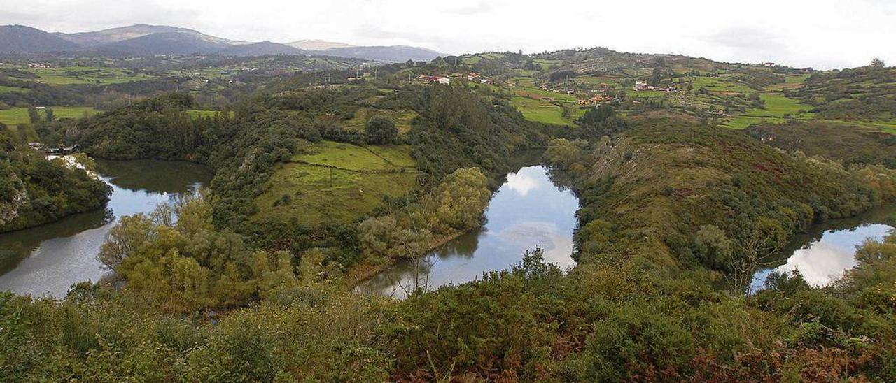 Los meandros del río Nora vistos desde Priañes.