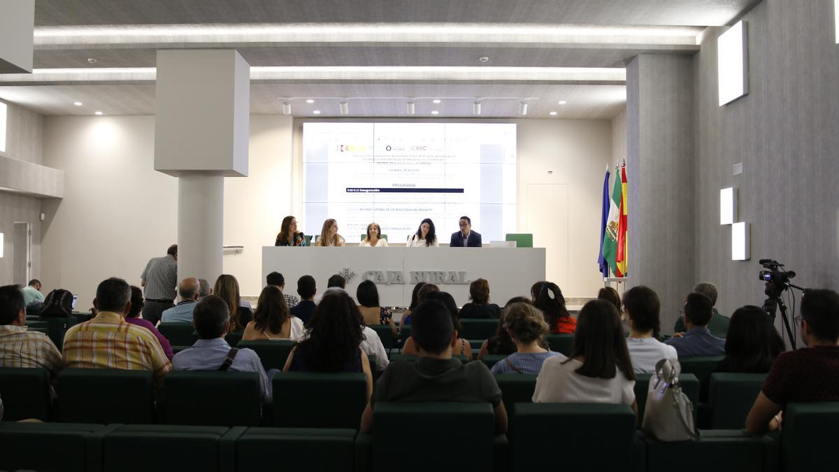 Analizan en un seminario en Córdoba la respuesta sanitaria ante la Xylella  fastidiosa - Diario Córdoba