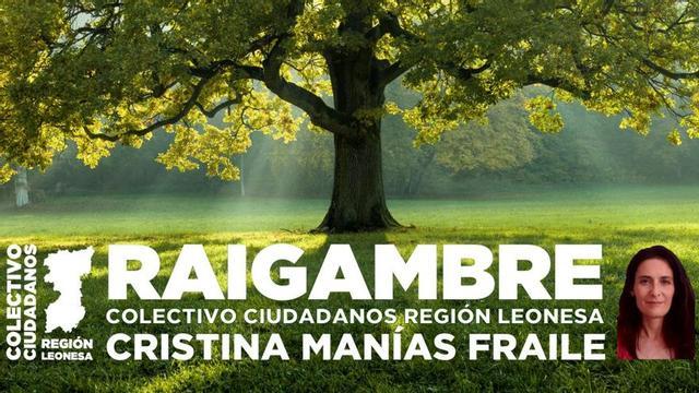 Raigambre.