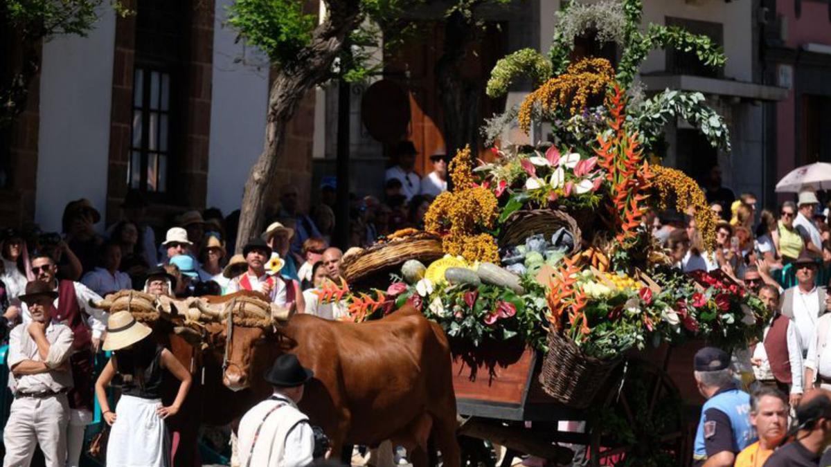 La romería del Pino vuelve con más ofrendas que nunca | JOSÉ CARLOS GUERRA