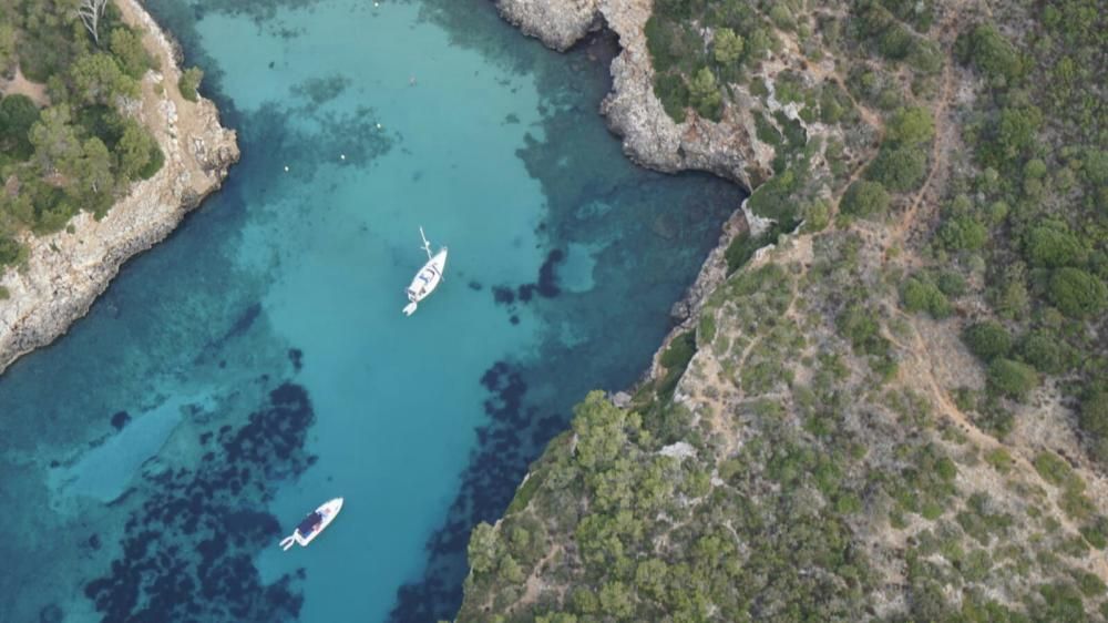 Arranca la 'V Concentración Paramotor 2018' en homenaje a Miquel Blanch