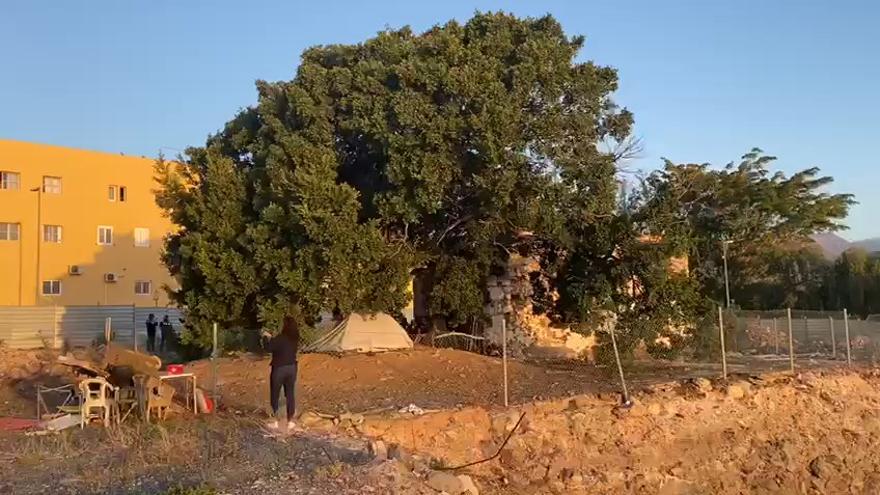 Desalojados los okupas de la Casa del Mato en El Tablero