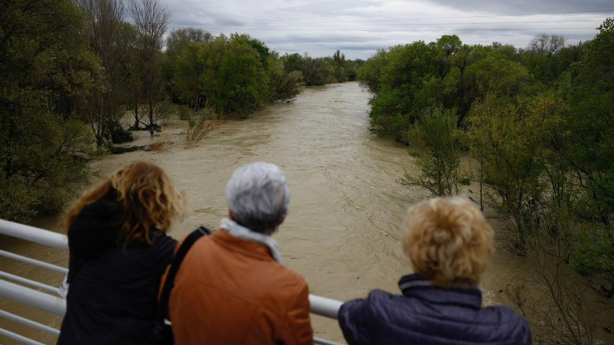 En imágenes | Así está el caudal del río Gállego a su paso por Zaragoza