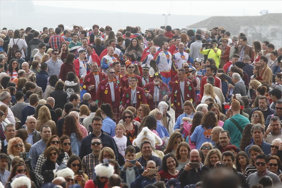 Fotogalería / Pasacalles del Carnaval de Córdoba