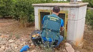 Detienen a dos personas por robar contadores de agua en Betxí y Onda valorados en 200.000 euros