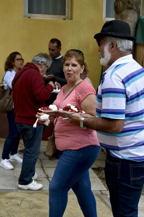 Feria de la fresa de Valsequillo, 2017