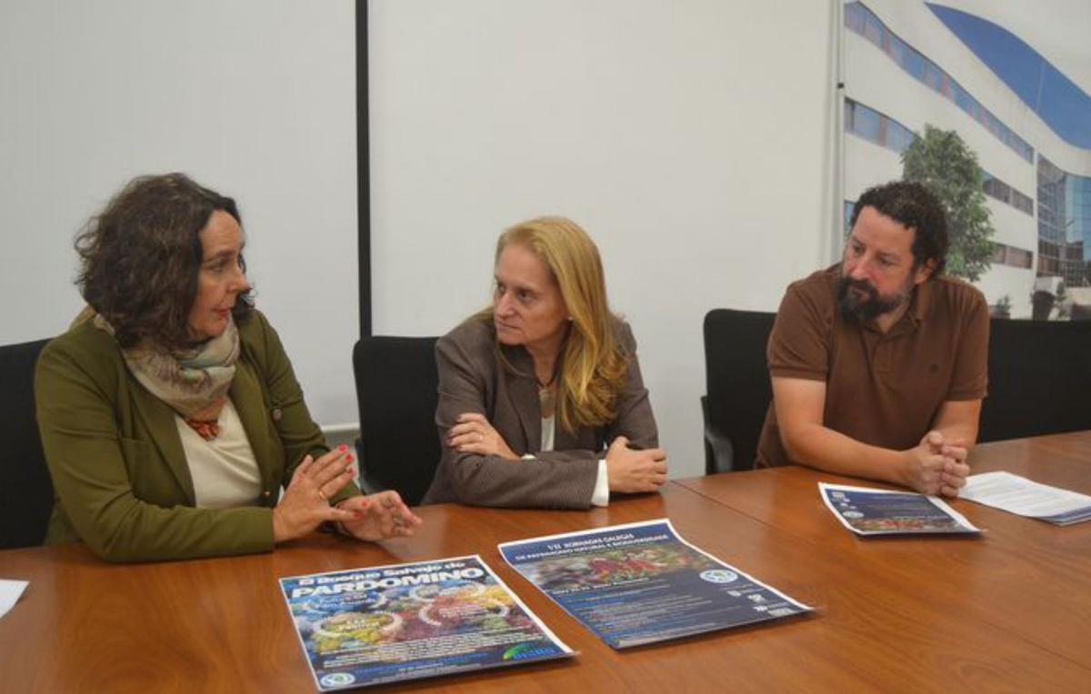 Presentación de las jornadas. | FdV