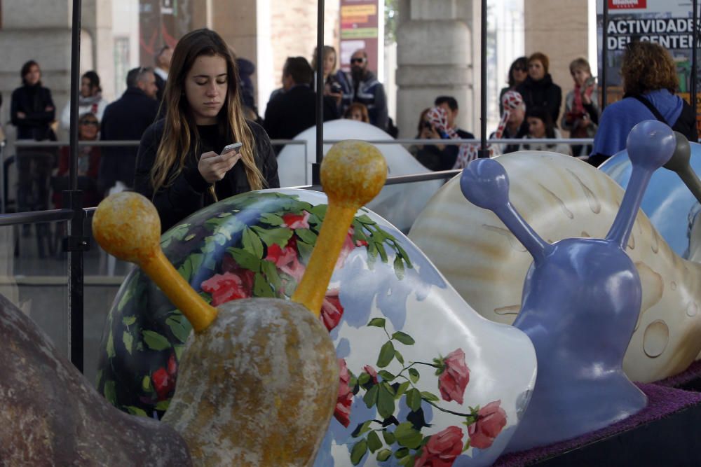 Exposición de caracoles gigantes en el mercado de Colón