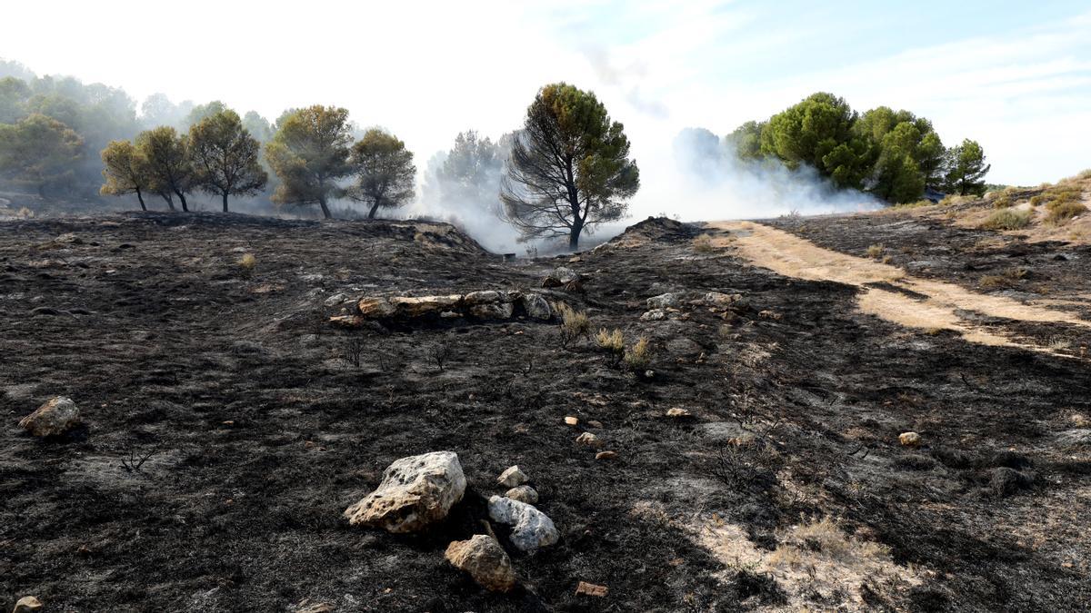 Tierra quemada en el incendio del Moncayo, con zonas todavía humeantes tras el paso de las llamas.