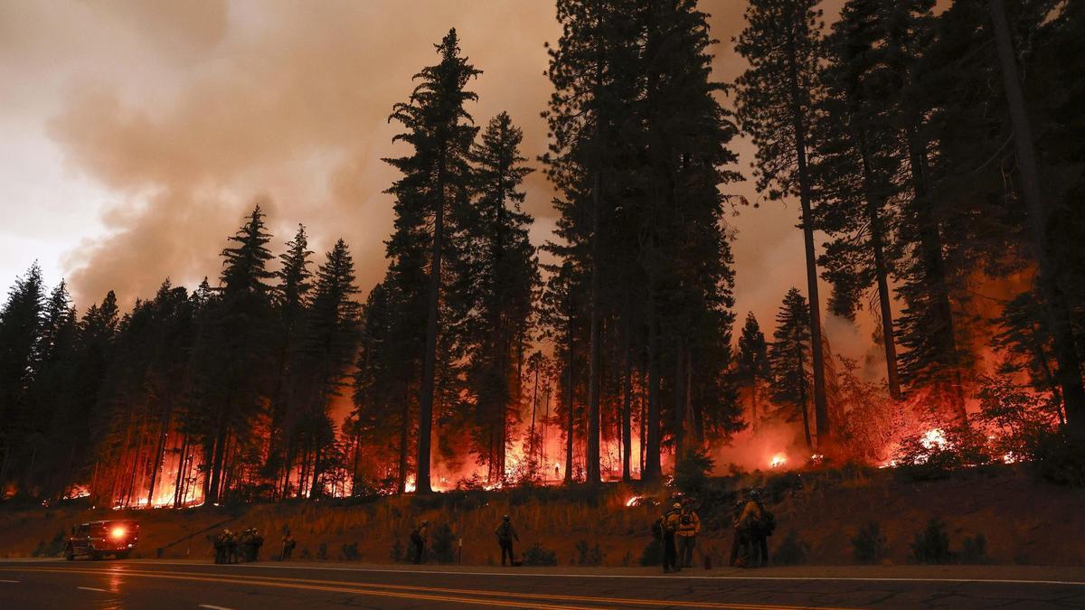 Incendio en un parque del norte de California.