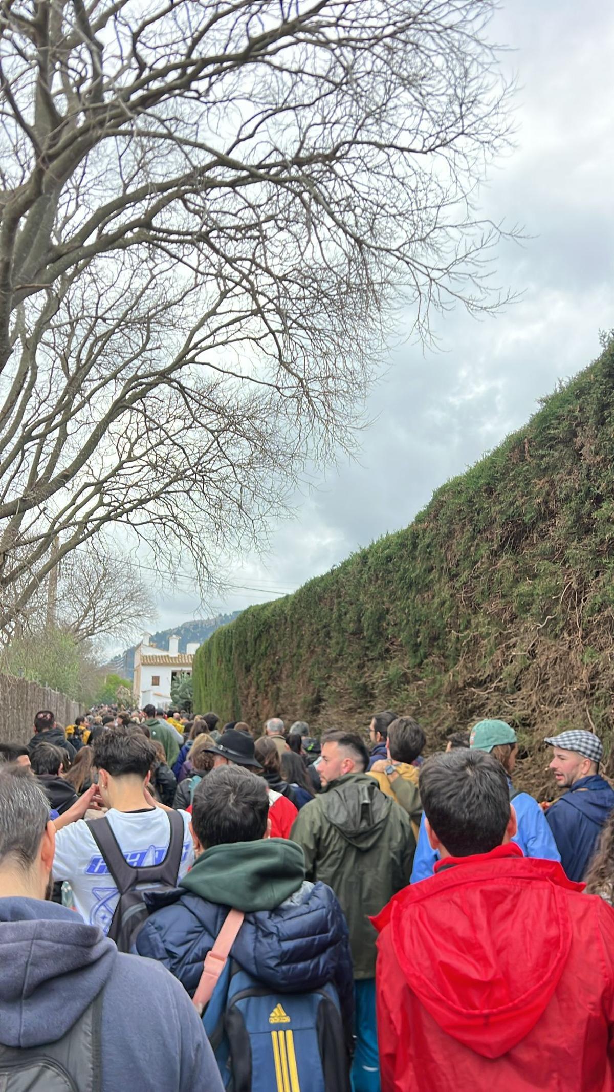 El Pi de Ternelles se dirige a la plaza vella de Pollença. El Pi de Ternelles se dirige a la plaza vella de Pollença.